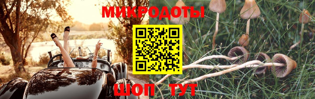 Омск  Псилоцибиновые грибы ЛСД  Галлюциногенные грибы Psilocybine cubensis  Вход с VPN 