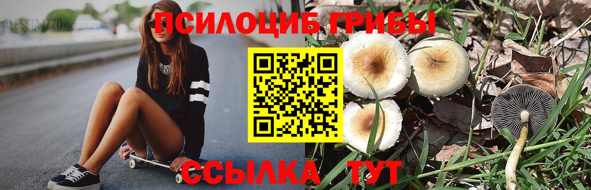 Псилоцибиновые грибы прущие грибы Омск