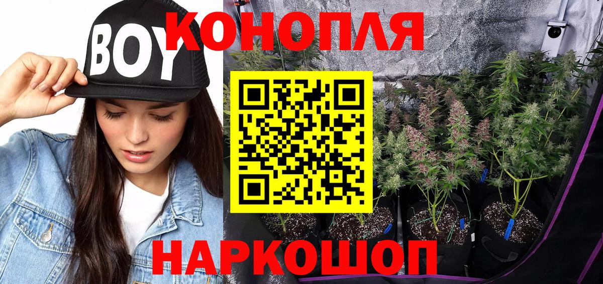 МАРИХУАНА сатива  Вход с VPN  Омск  Марихуана ГИДРОПОН 